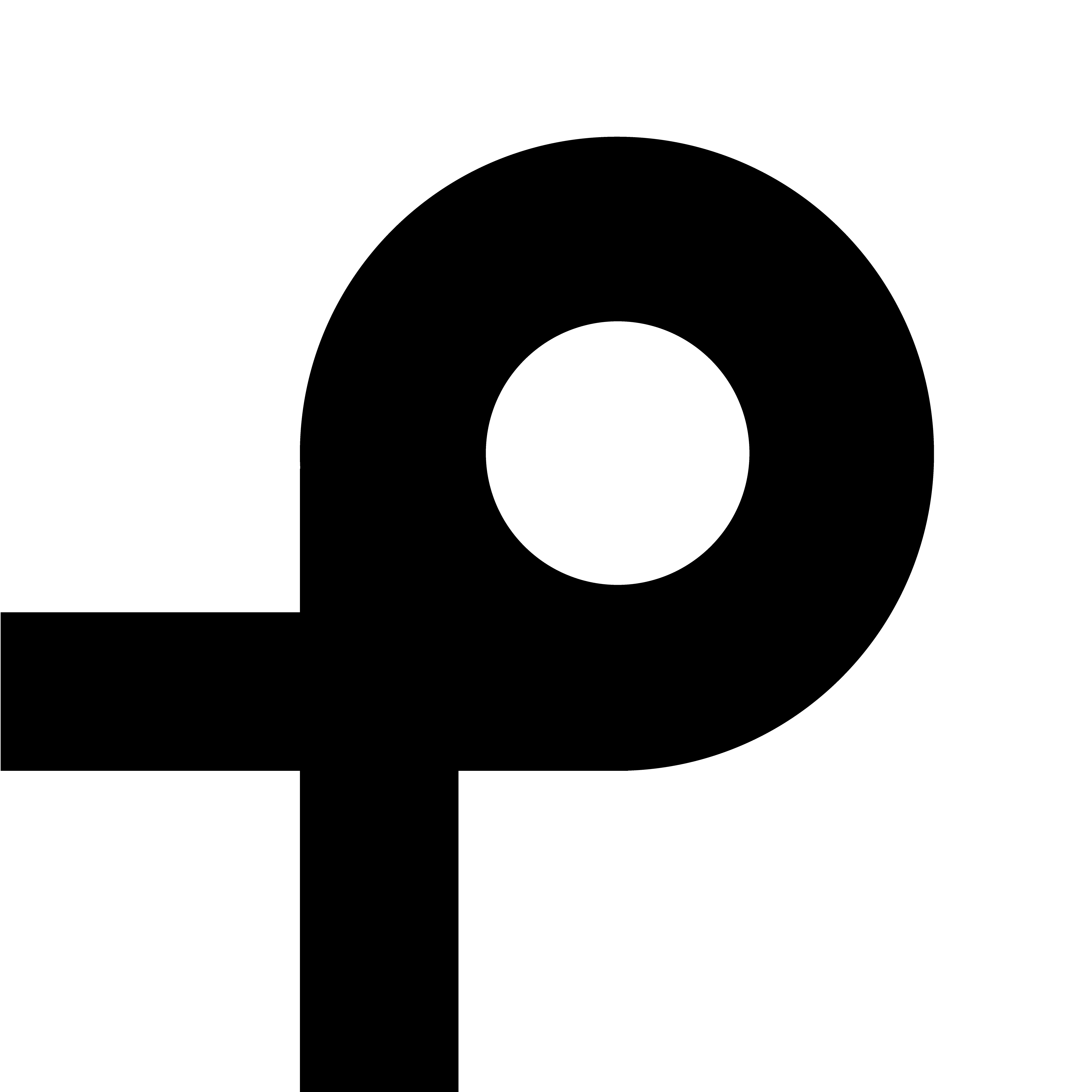 Pintoo Logo